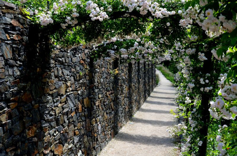 Arched Trellis Installation