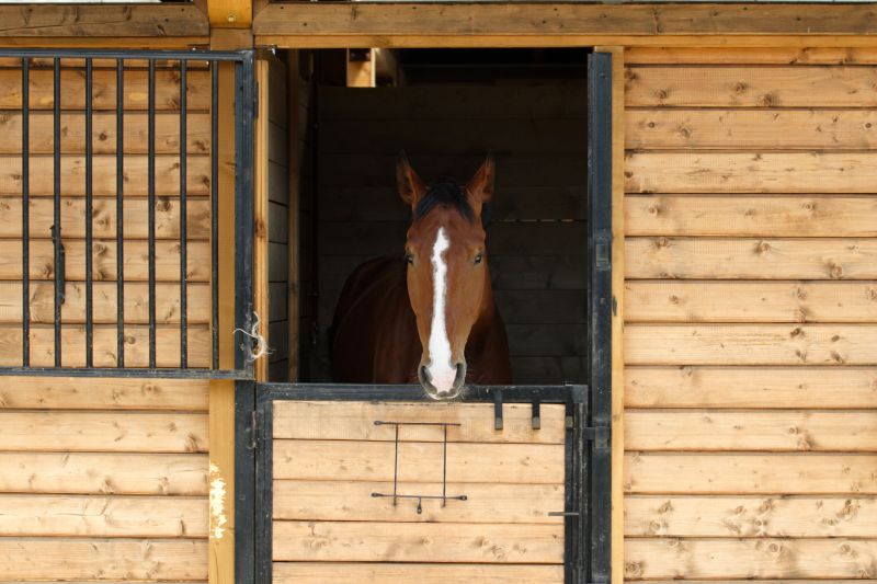 Horse Shelter Construction