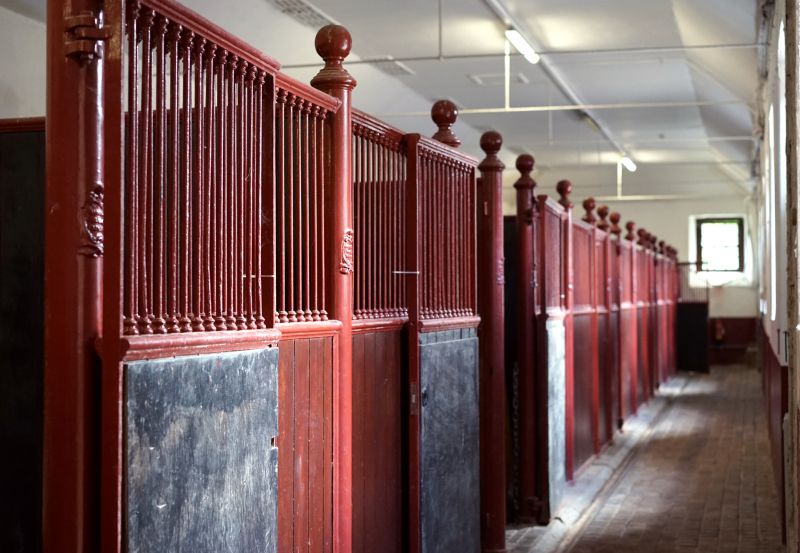Horse Shelter Construction
