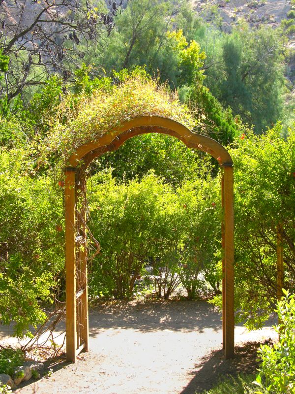 Wood Arbor Construction