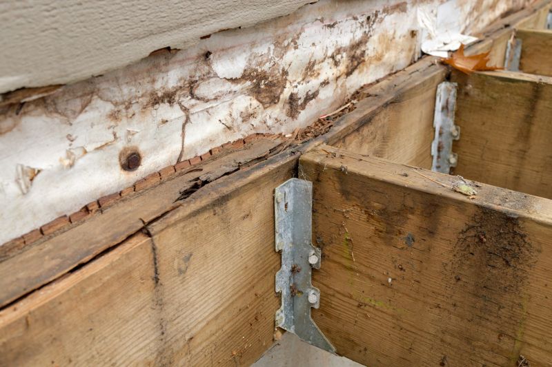Wooden Structure Repair