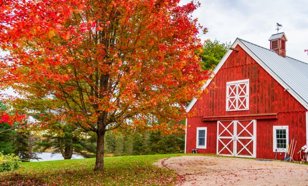 Custom Barn Construction in Albuquerque