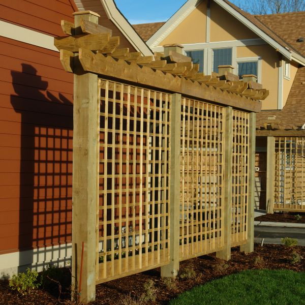 Trellis Construction in Albuquerque