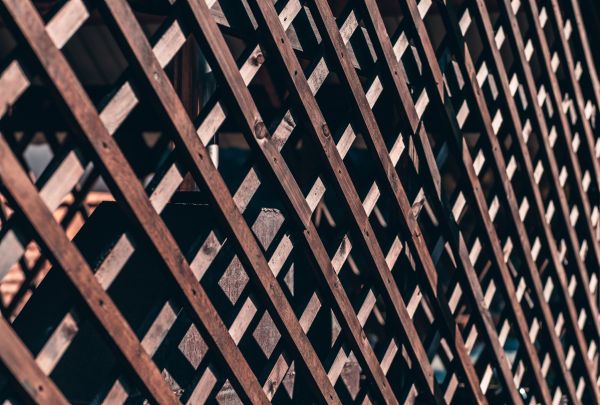 Wood Trellis Fence Replacement