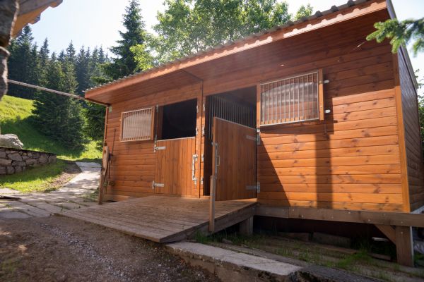 Horse Stable Construction in Albuquerque
