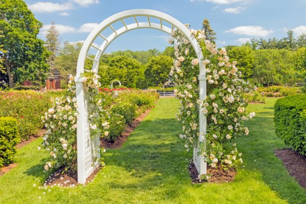 Arched Trellis Installation in Albuquerque