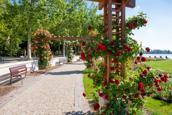 Rose Trellis Building