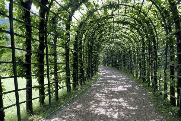 Curved Pergola Design