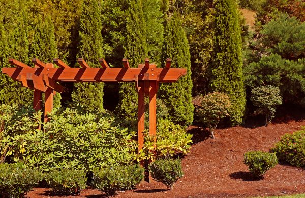 Cedar Arbor Construction