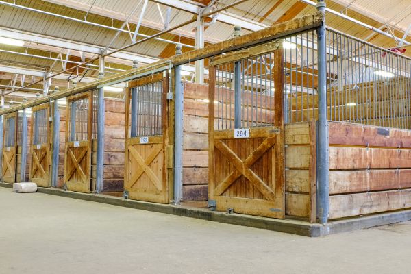 Equestrian Building Service