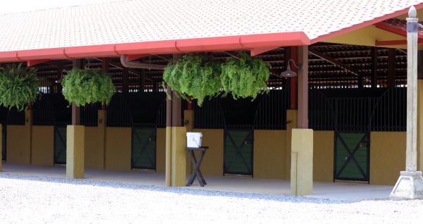 Horse Shed Construction Service