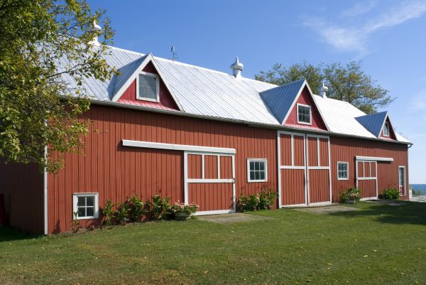 Barn Wall Repair in Albuquerque